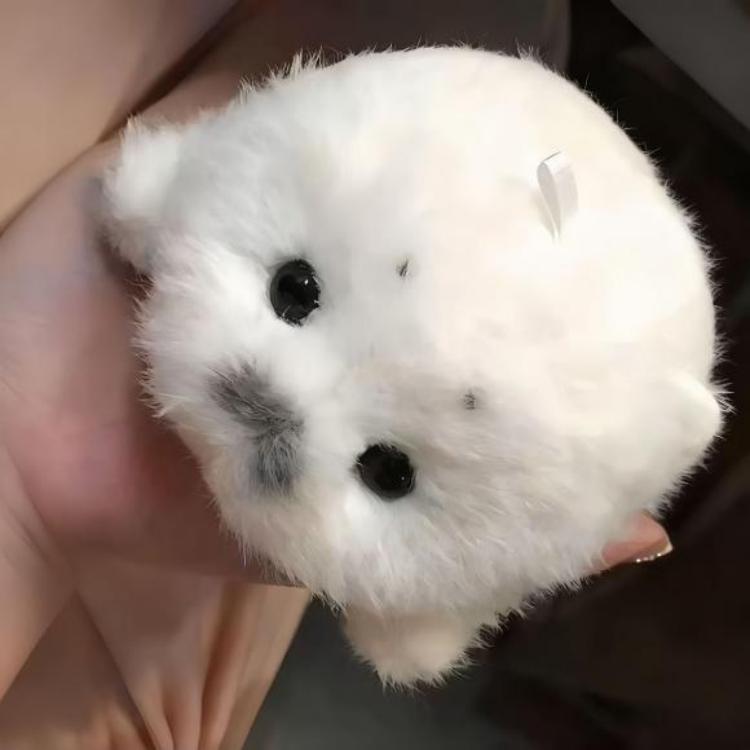 Soft Shed-Free Seal Plush Toys